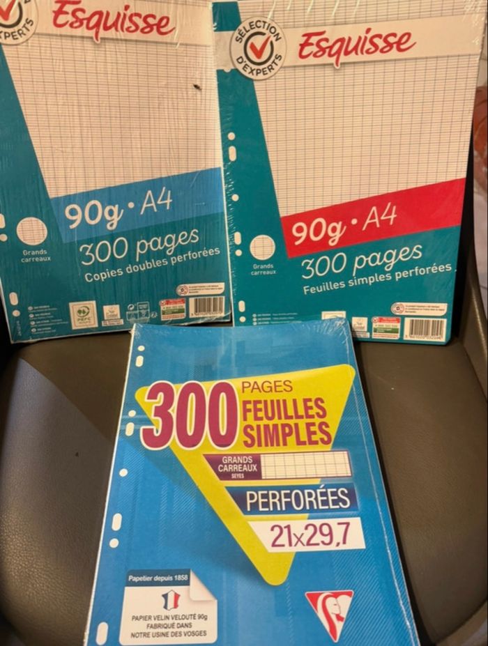 Lot de feuilles simples et doubles - photo numéro 2