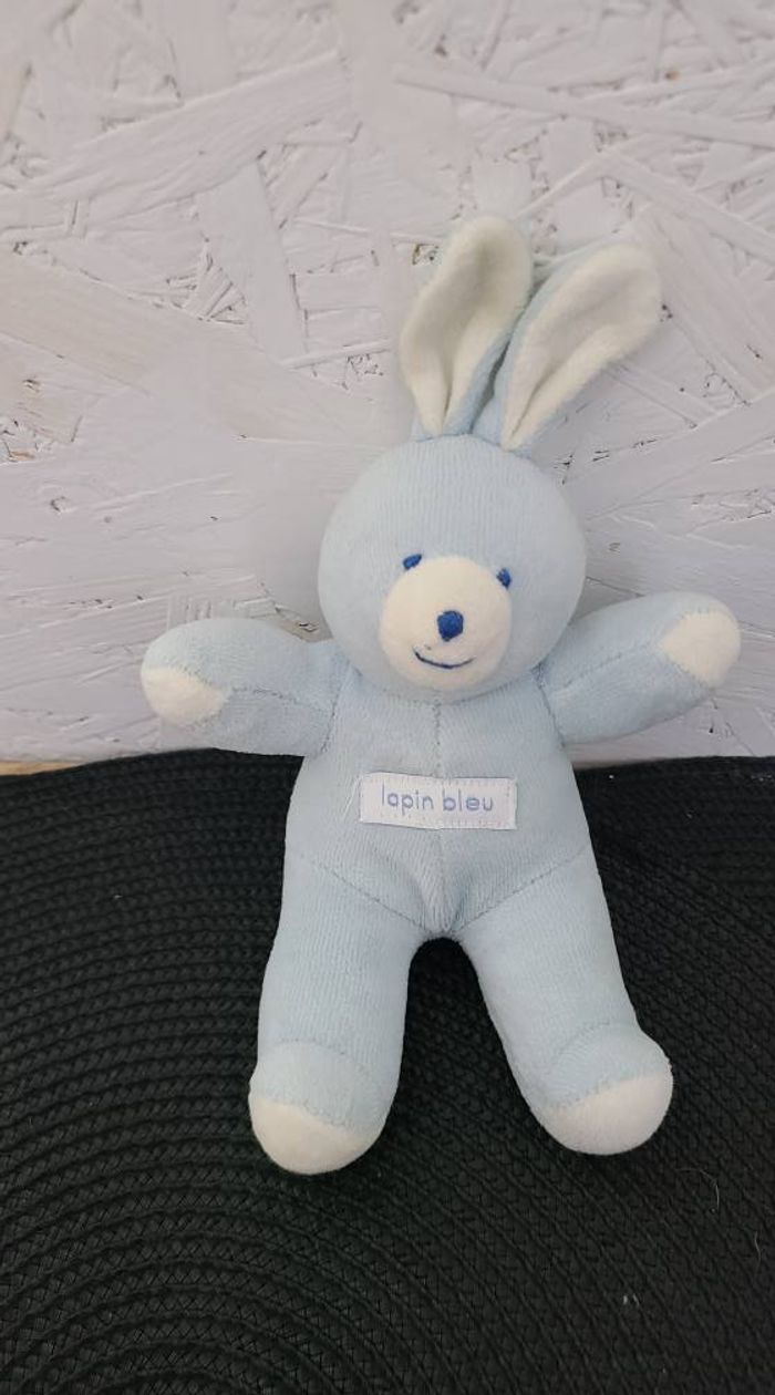 MINI LAPIN BLEU MRSA - photo numéro 4