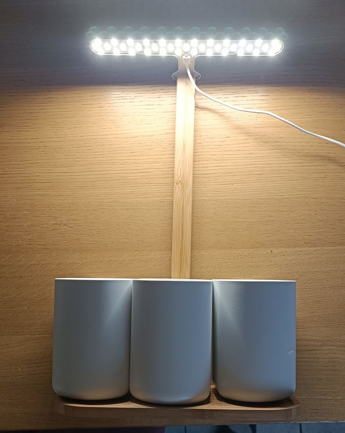 Lilo Connect potager intérieur connecté Prêt à pousser - photo numéro 2