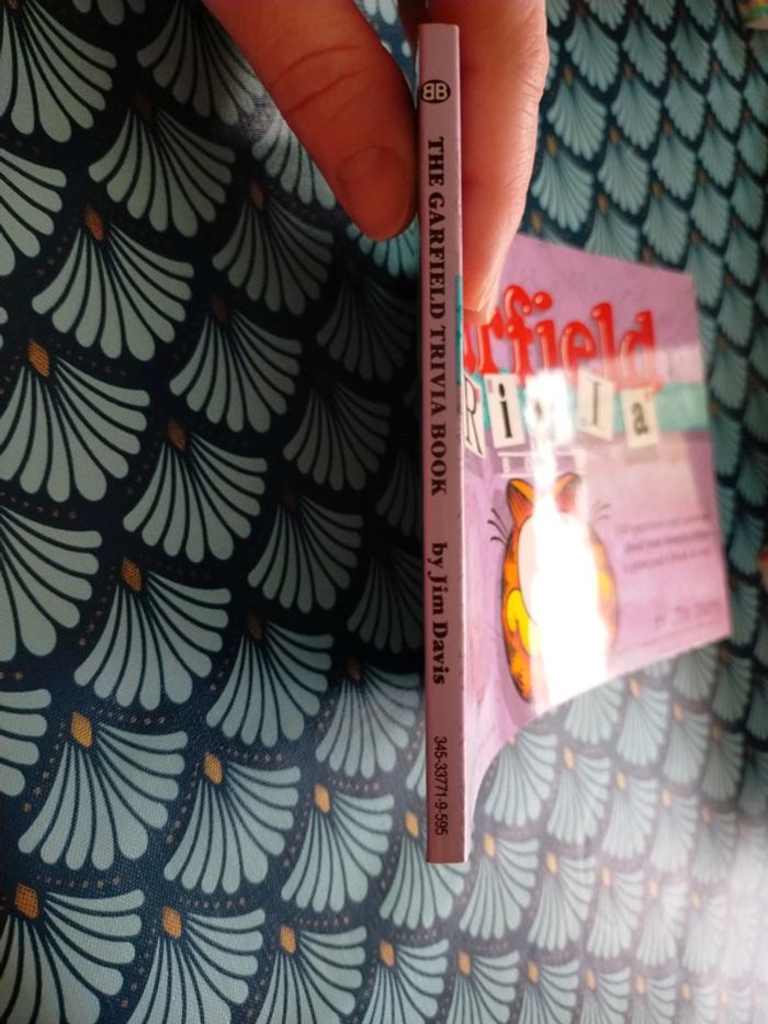 Garfield trivia Book - photo numéro 11