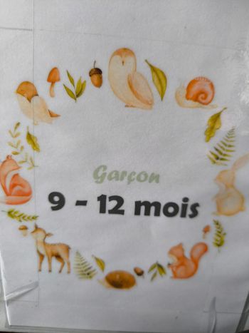 Lot vêtements garçon 9-12mois