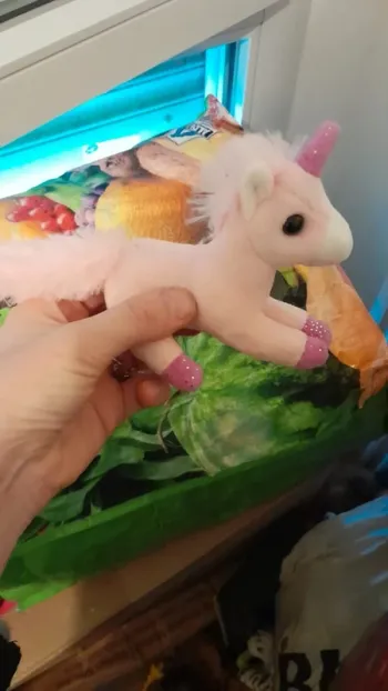 Licorne