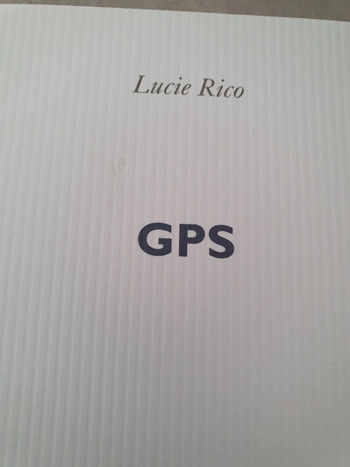 Livre GPS roman - photo numéro 4