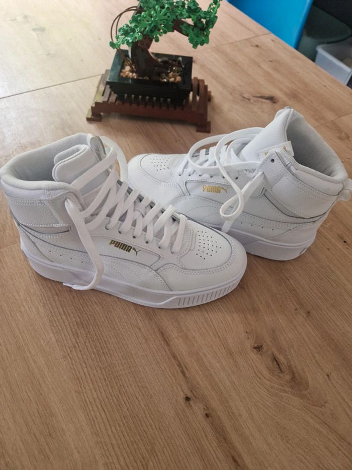 Puma neuve - photo numéro 2