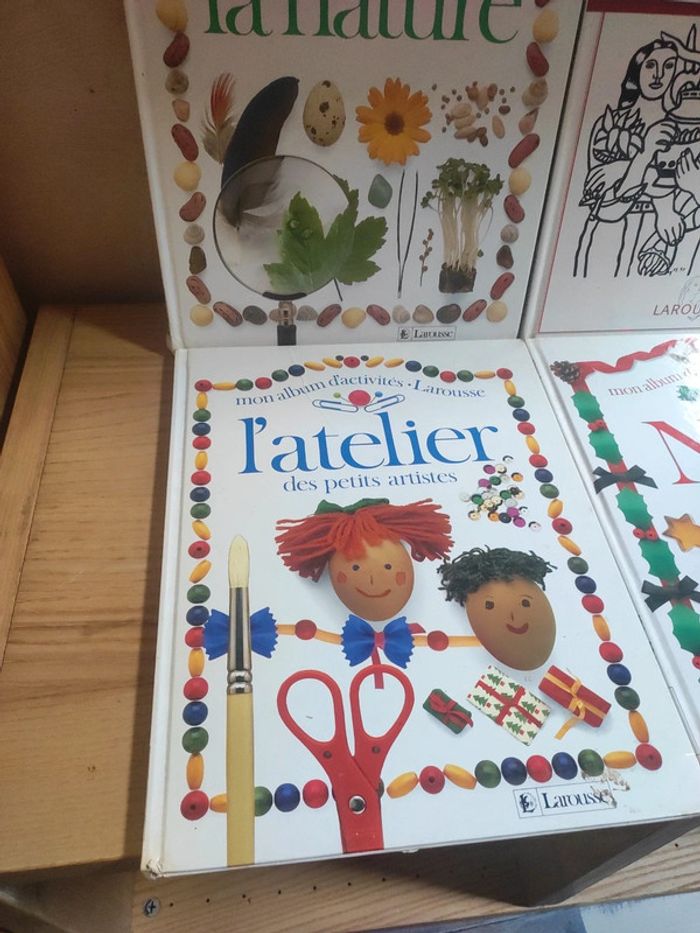 Lot de 4 beaux livres Larousse - photo numéro 3