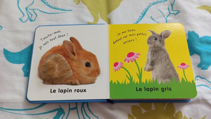 Lot livres Touche à tout - photo numéro 3