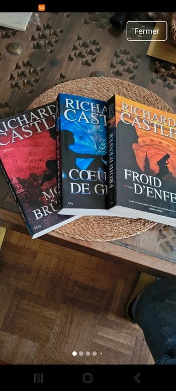 Lot 3 Thrillers palpitants R.Castel