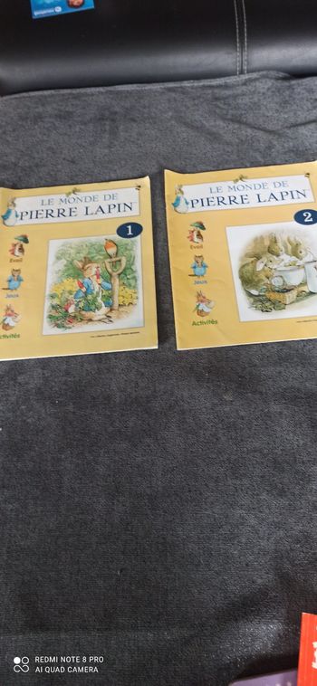 2 livres le monde de Pierre Lapin