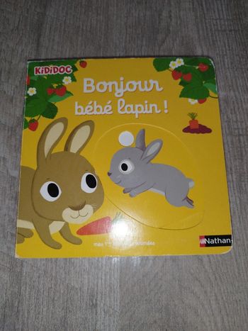 Kididoc bonjour bébé lapin
