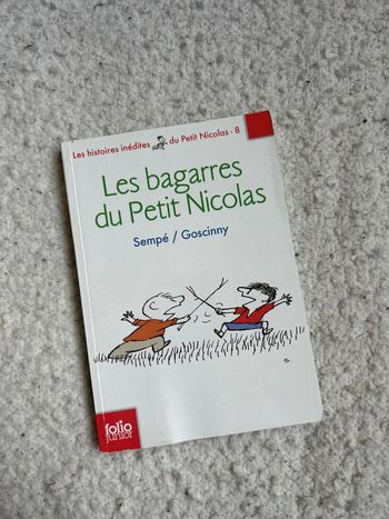 Les bagarres du petit Nicolas
