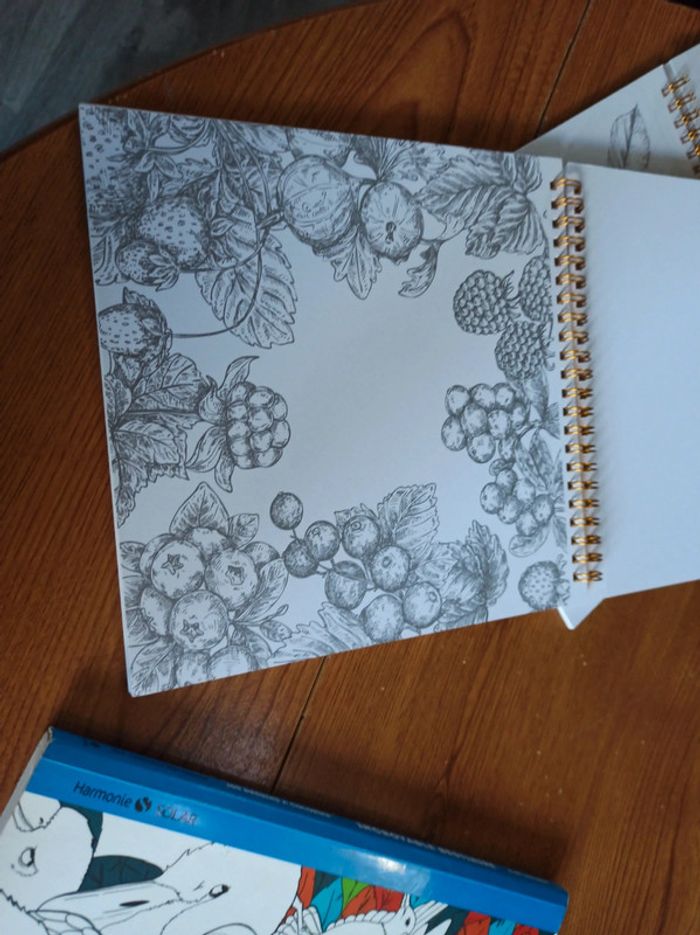 Coloriages 3 livres - photo numéro 6