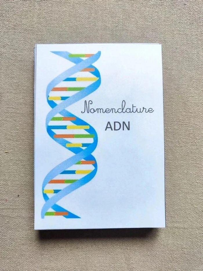 Cartes de nomenclature de L'ADN - photo numéro 7