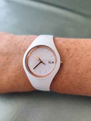 Montre ice swatch