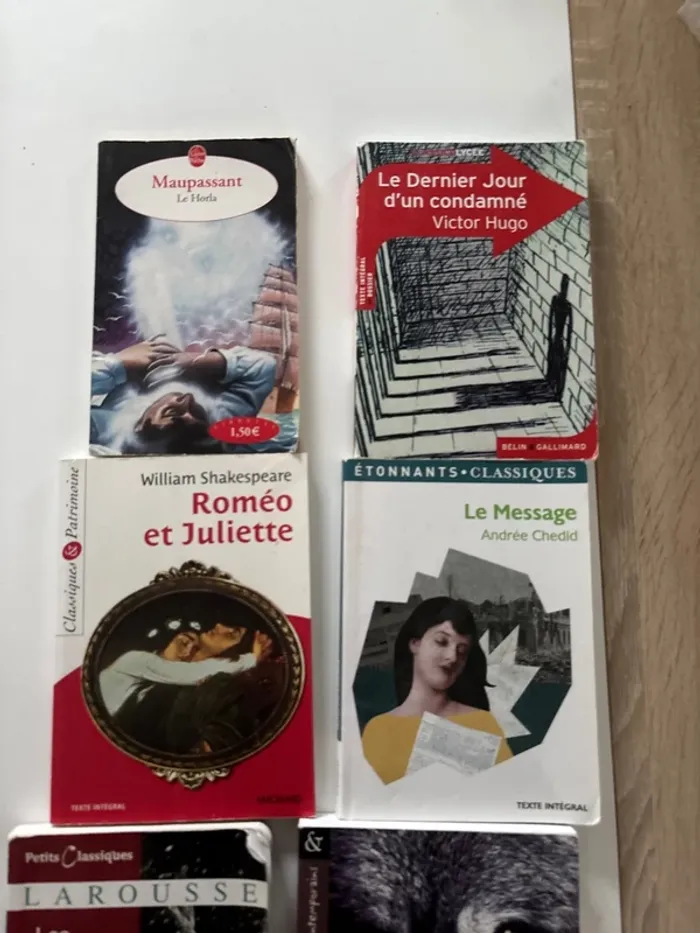 Lot livre - photo numéro 3