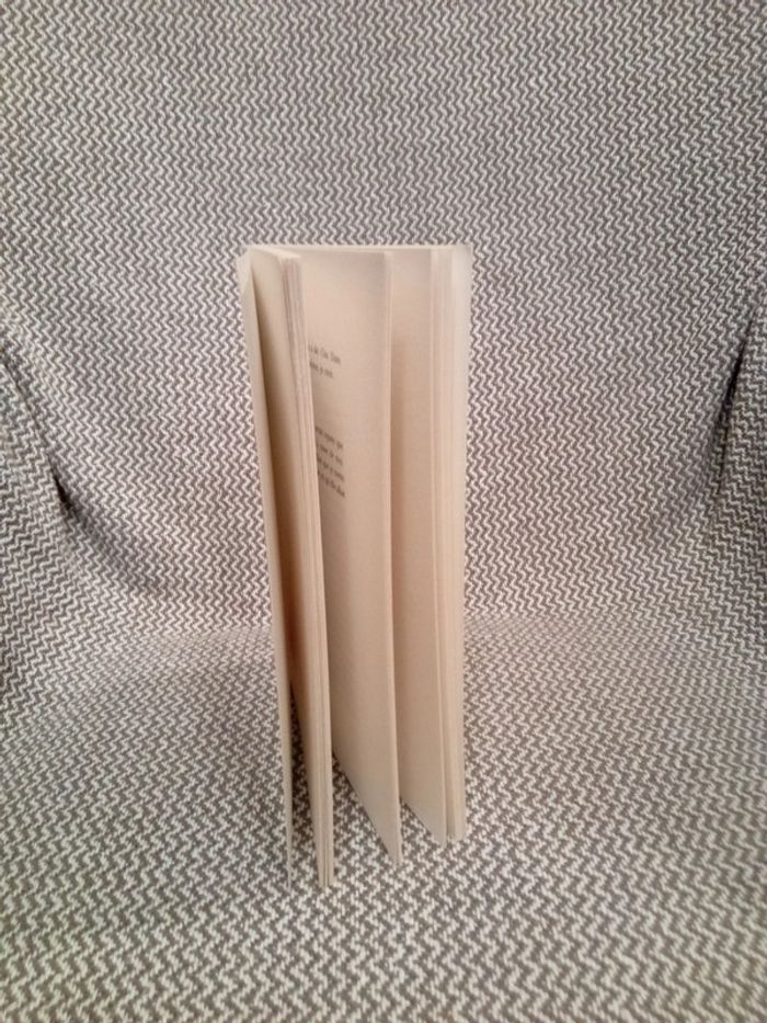 Comment devenir indien - l'École des Loisirs - photo numéro 8