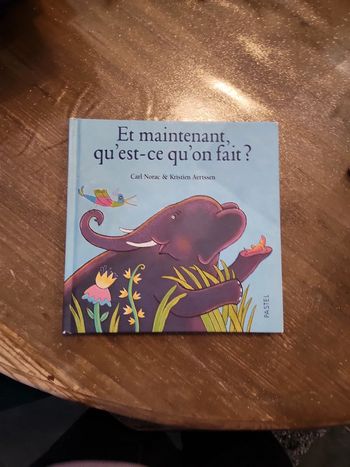 Livre : Et maintenant qu'est ce qu'on fait?