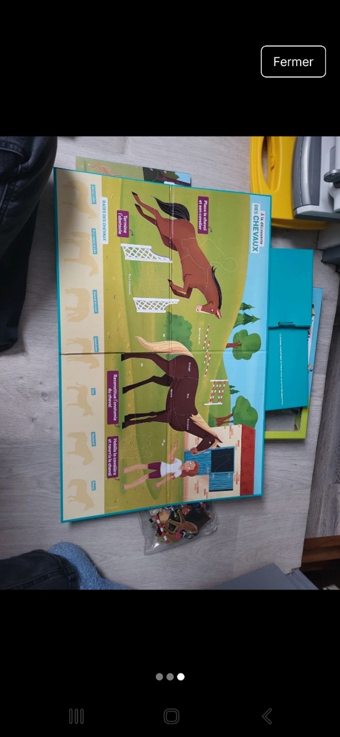 Découverte des chevaux - photo numéro 3