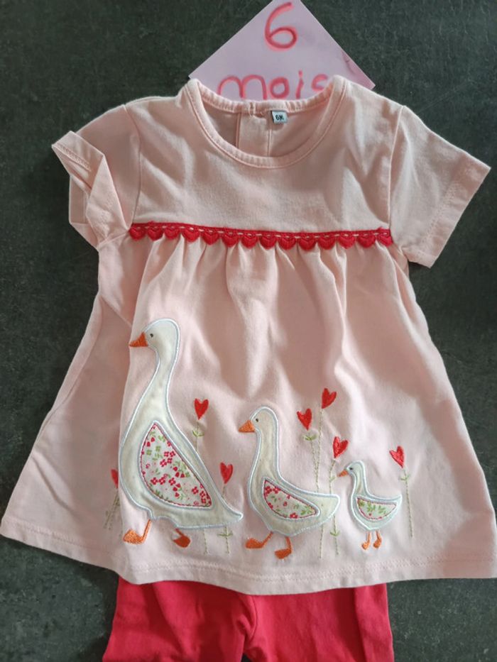 Ensemble oie 6 mois - photo numéro 2