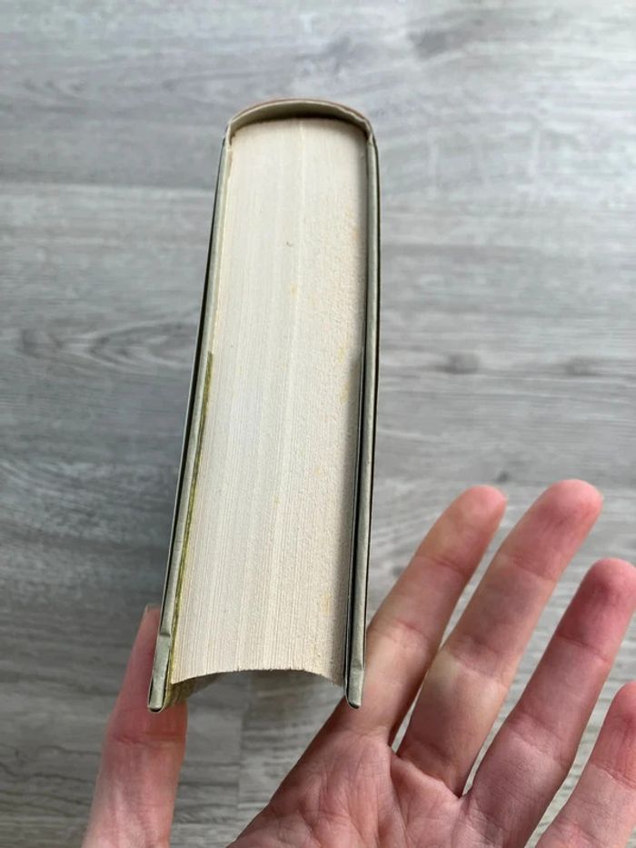 Roman - Les ailes de l'ange de Jenny Wingfield - photo numéro 6