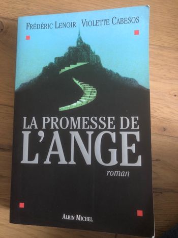 La promesse de l’ange - Frederic Lenoir