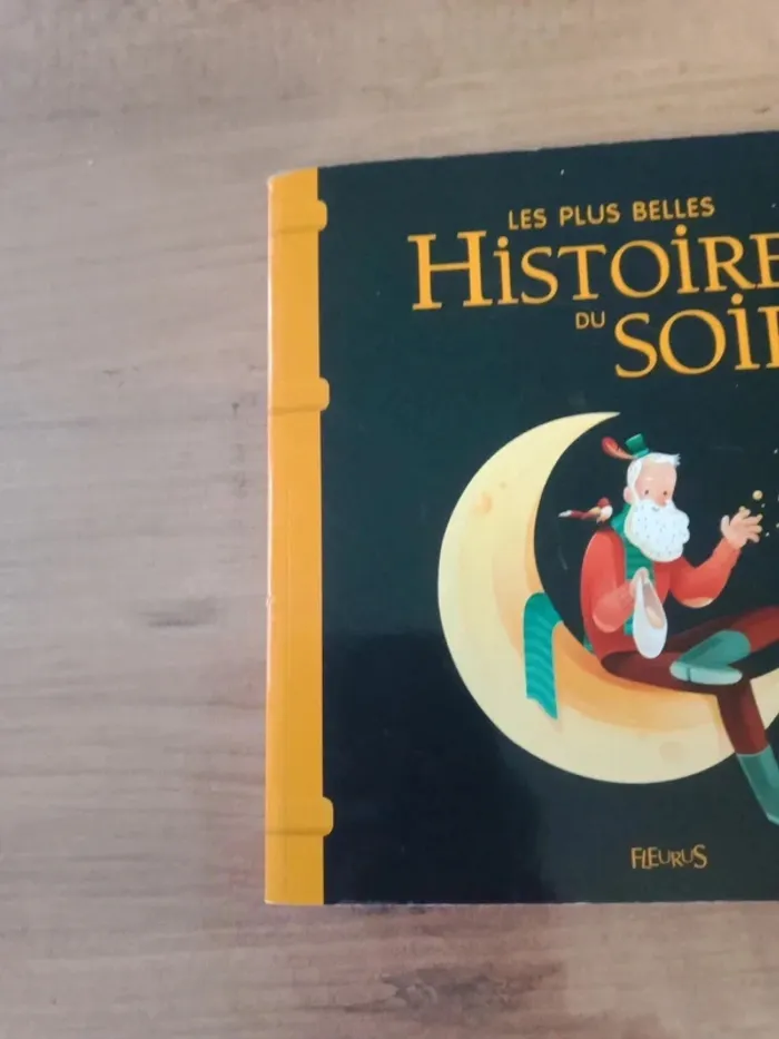 Livre histoire du soir - photo numéro 13