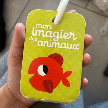 Imagé des animaux
