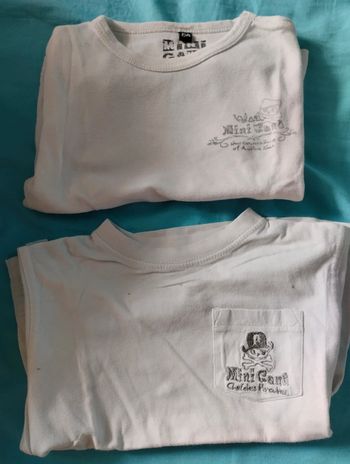 Lot 2 t-shirt manches courtes 3ans