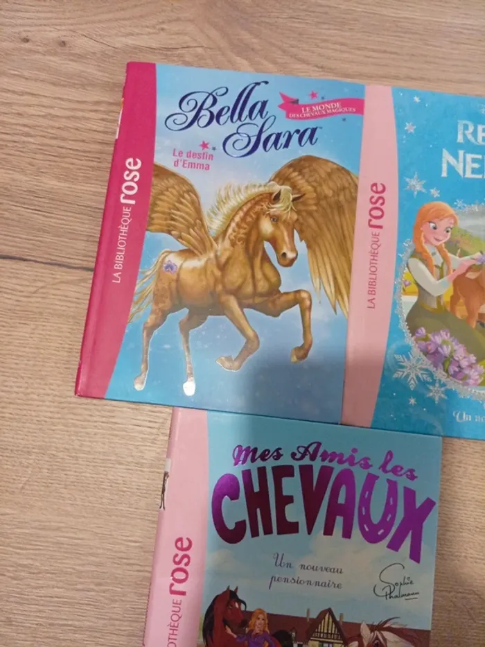 Livre la bibliothèque rose - photo numéro 2