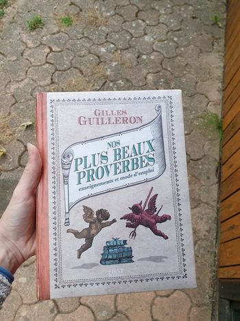 Magnifique livre proverbes