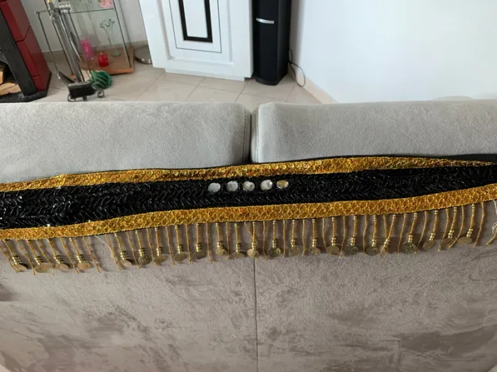 Soutien gorge et ceinture de danse orientale - photo numéro 2