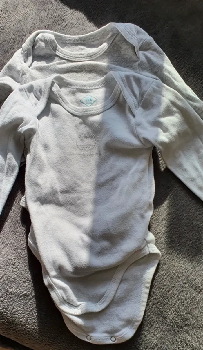 Lot 2 bodies