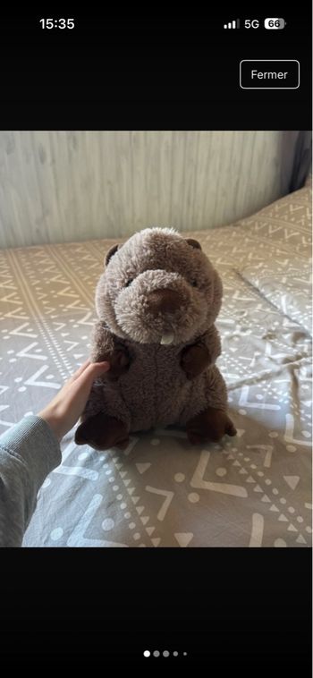 Peluche