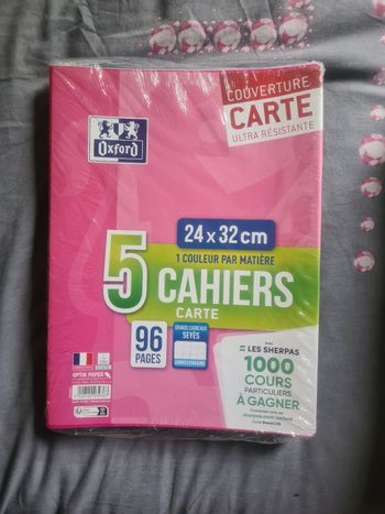 Lot de 5 cahiers 24x32cm 96 pages grands carreaux NEUFS