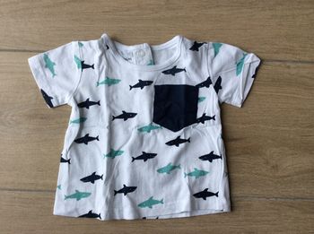 Tee-shirts manches courtes