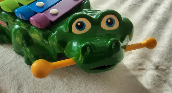 Xylophone crocodile - photo numéro 4