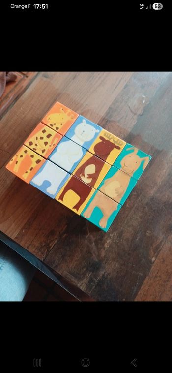 12 cubes animaux couleurs