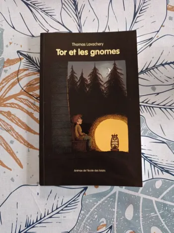 Tor et les gnomes