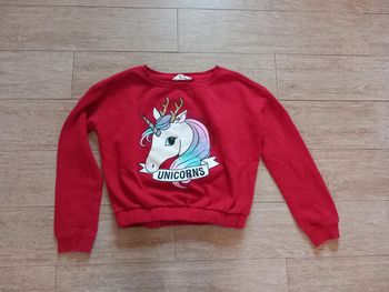 Sweat fille 12/14 ans