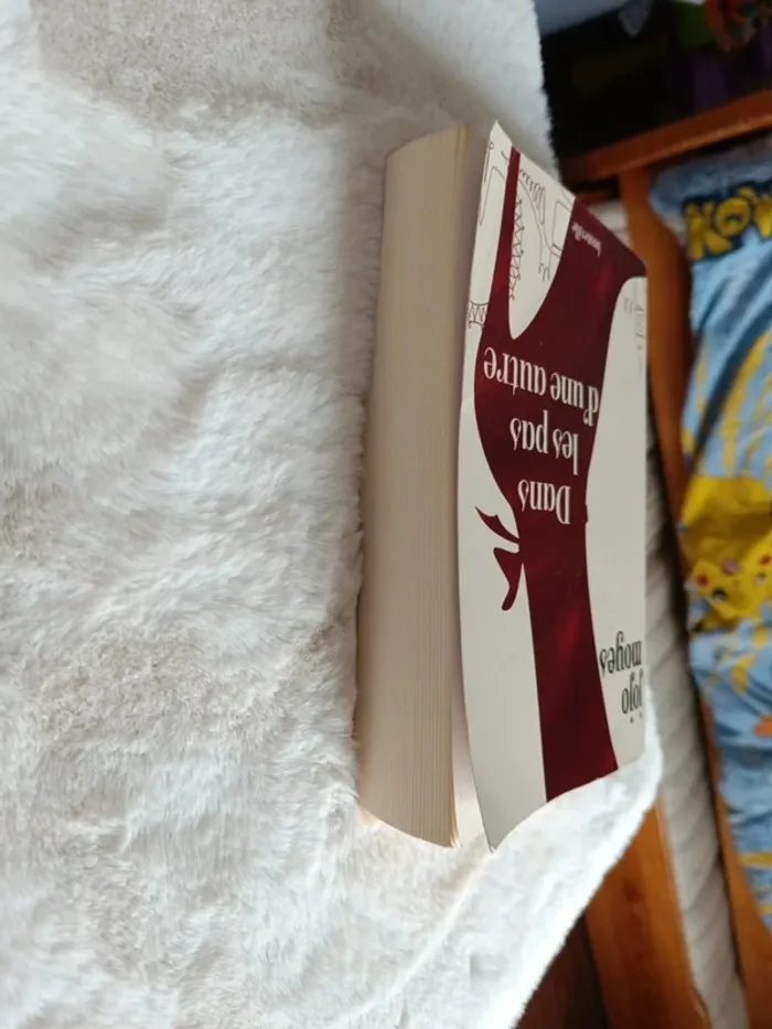 Livre : dans les pas d'une autre - photo numéro 4