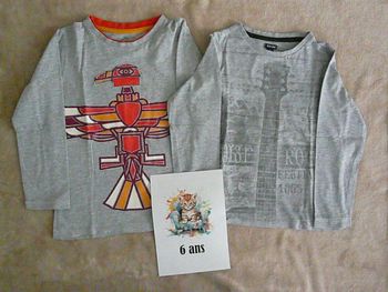 Lot de 2 tee-shirts 6 ans (n°29bis)