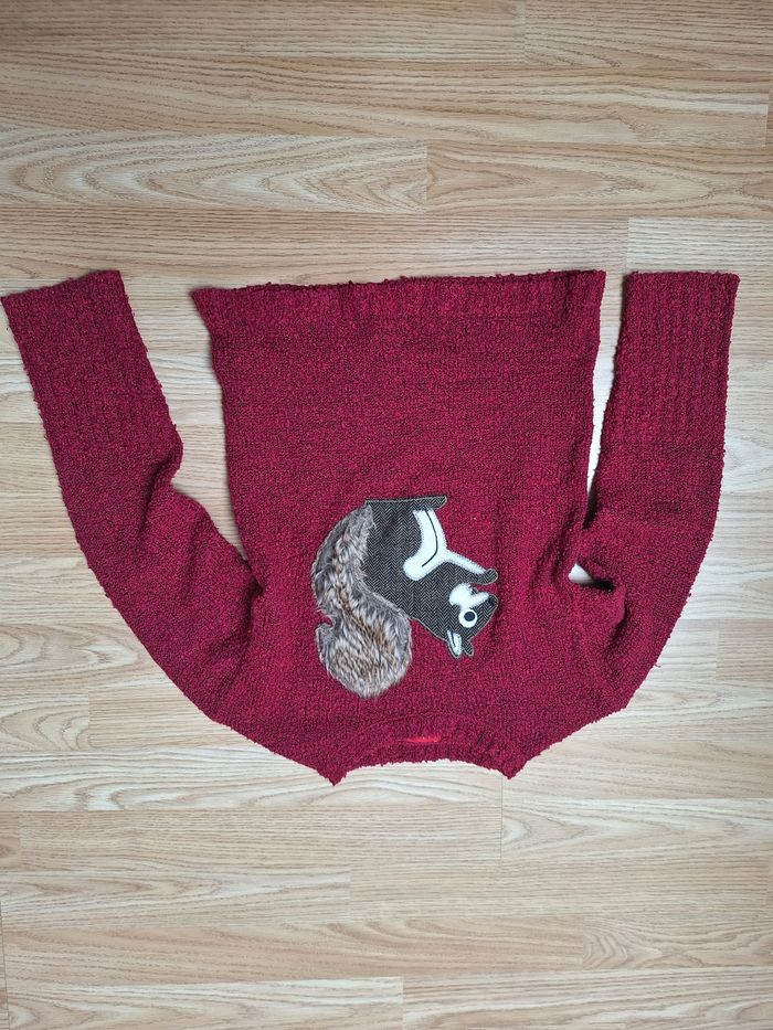 Pull TISSAIA 10 ans rouge