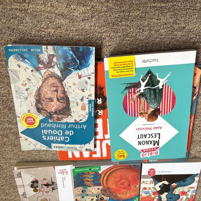 Lots de 7 livres pour le bac de français - photo numéro 4