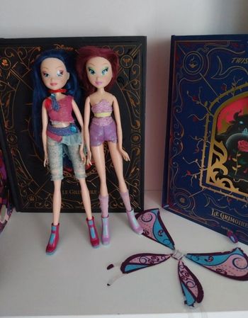 2 Poupées Musa et Tecna Believix Winx Club Smoby saison 4 Fairy of