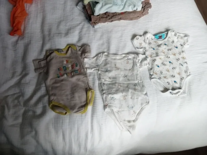 Lot bodies multimarque