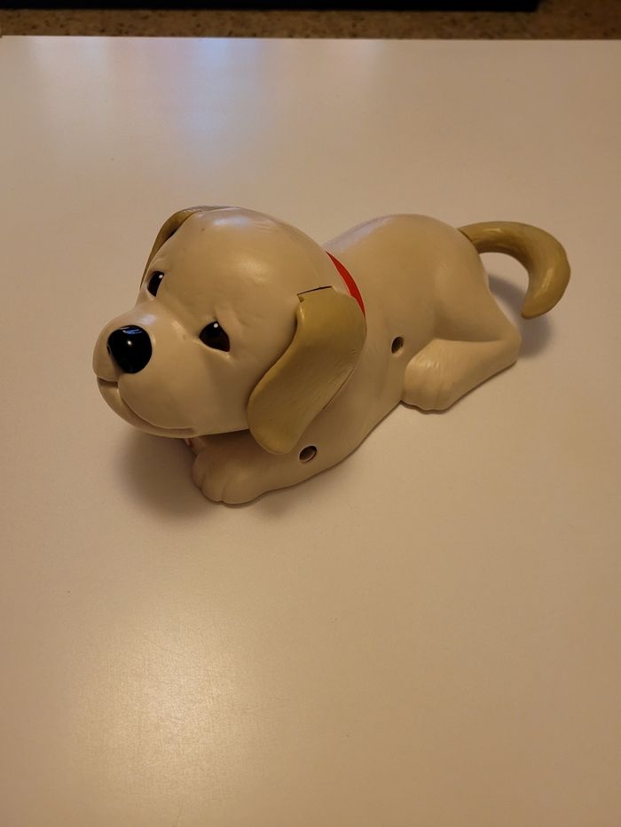 Chien