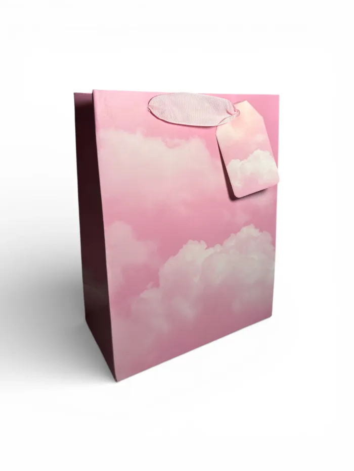 Sac cadeau Kariiou motif nuage rose 18 x 23 x 10 cm Neuf
