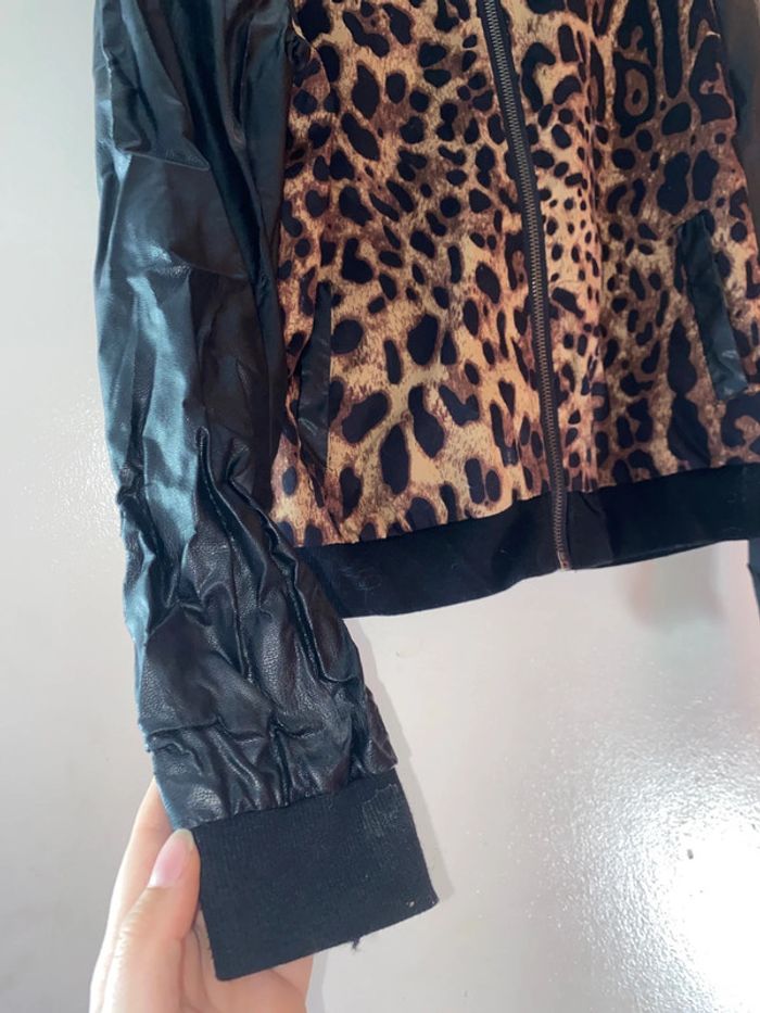 Veste - photo numéro 3