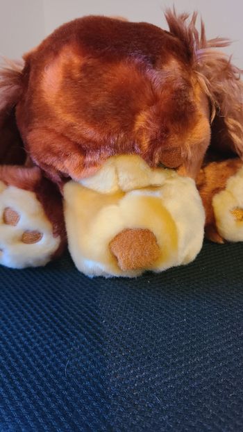 Jeux Preziosi Chien qui aboie, gémit, ronfle et joues qui s'illuminent