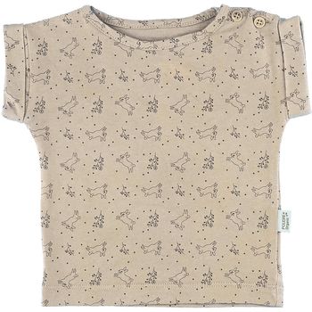 T-Shirt à manches courtes 6 mois en coton bio Poudre Organic