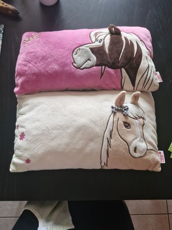 Coussin en très bon état